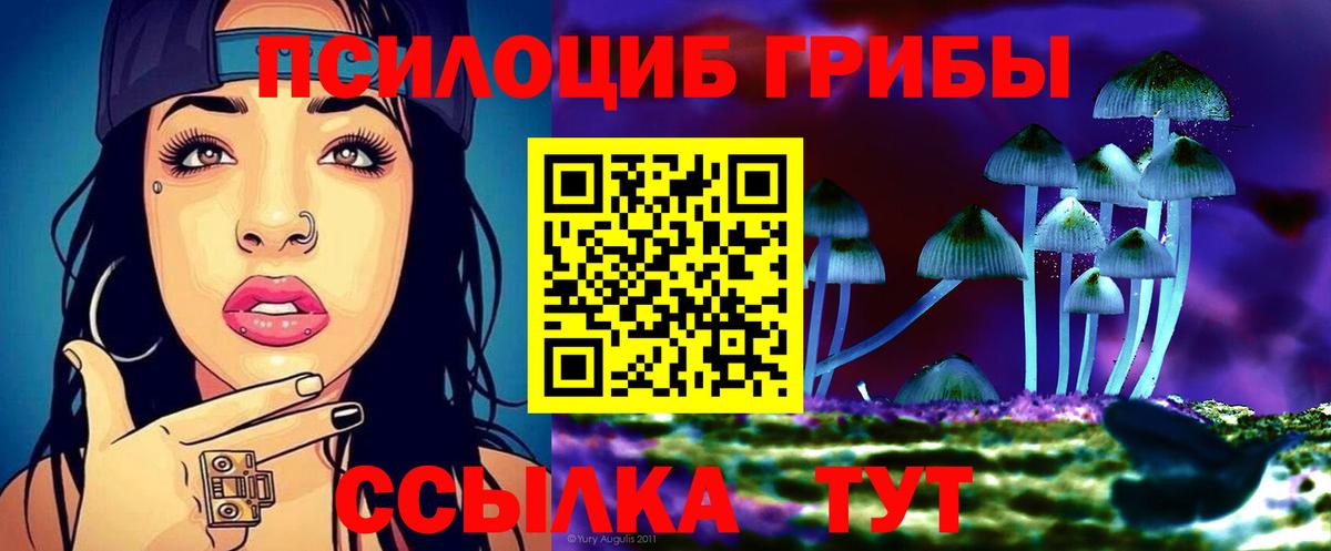 Галлюциногенные грибы Psilocybe  Псилоцибиновые грибы мухоморы  Краснокамск  Вход с VPN 
